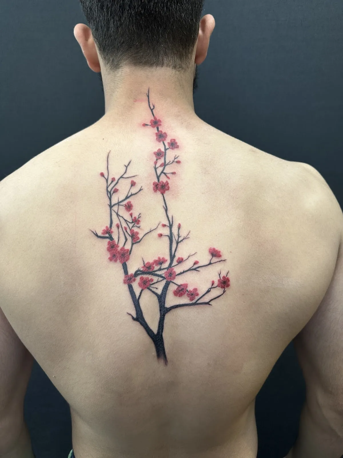 Tattoo by Jovino Dragon Tattoo and Piercing shop at Jovino Dragon Tattoo and Piercing shop
