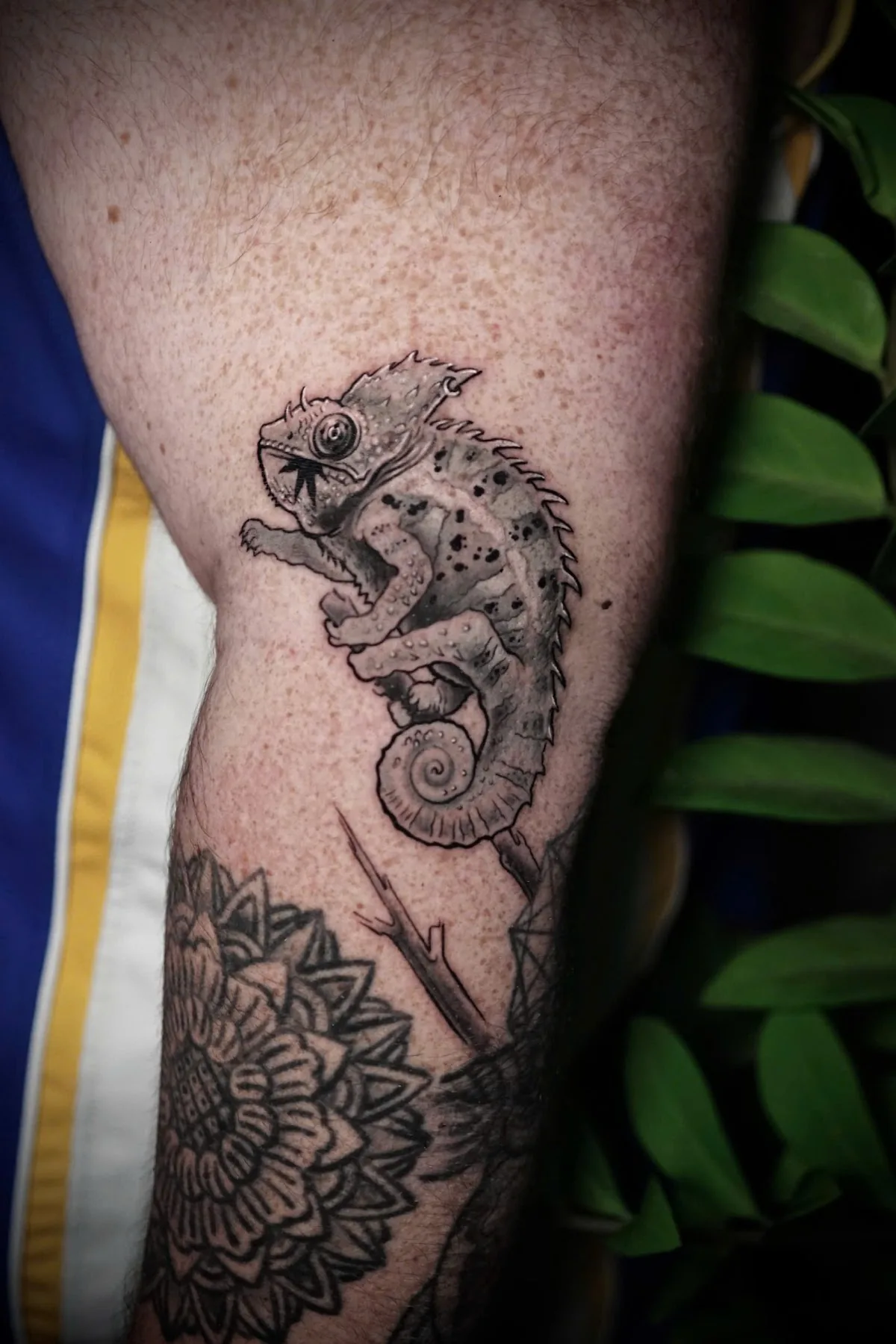 Tattoo by Lacham Tattoo Studio - Ho Chi Minh at Lacham Tattoo Studio - Ho Chi Minh