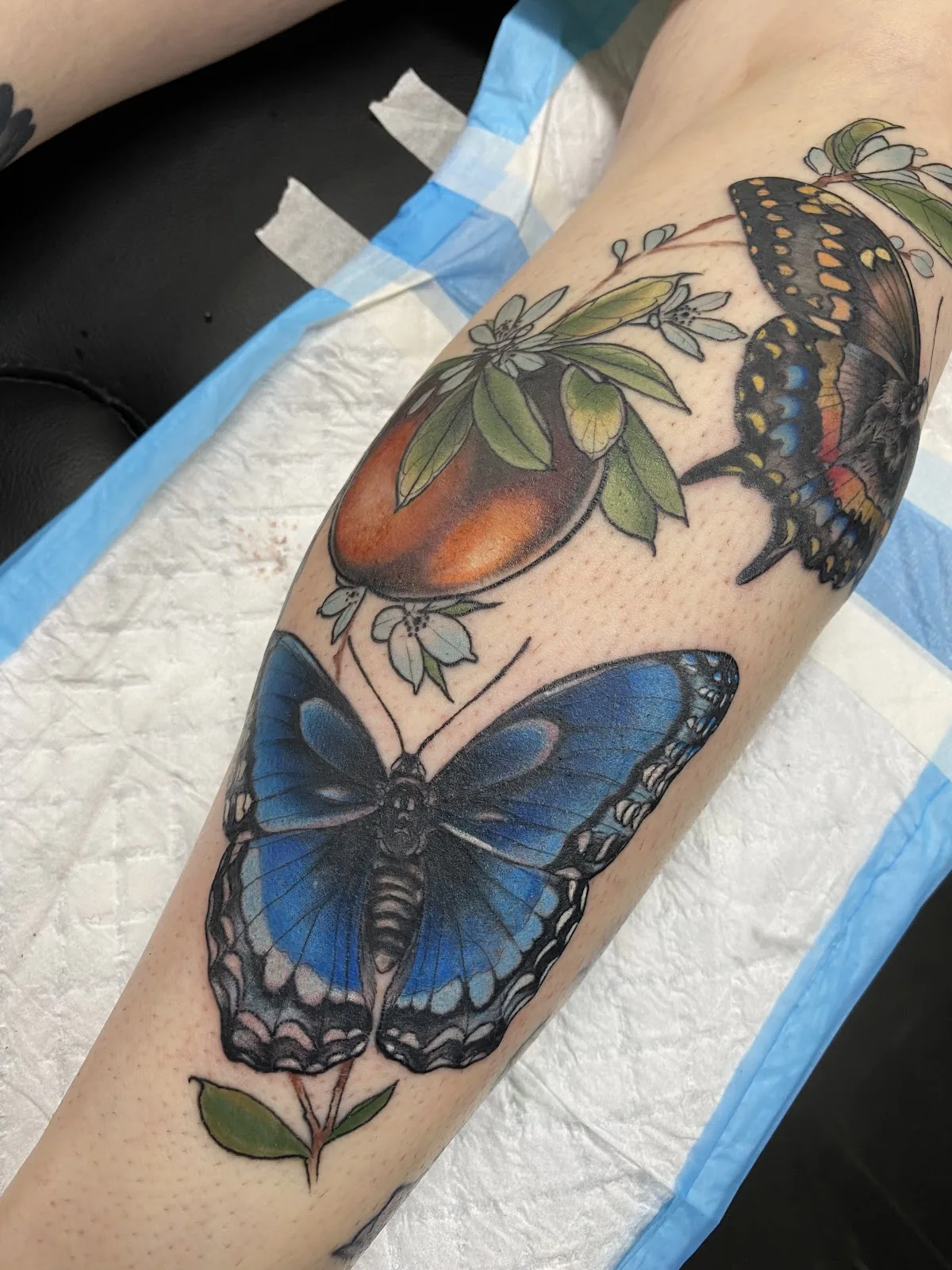 Tattoo by Lantern And Sparrow Tattoo at Lantern And Sparrow Tattoo