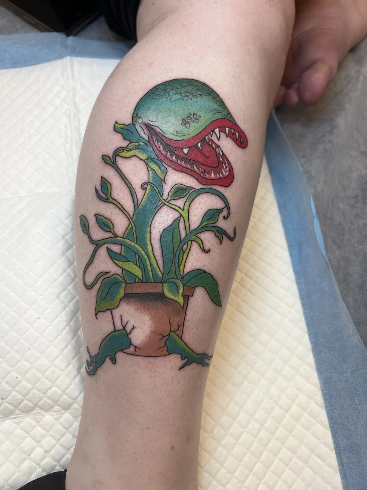 Tattoo by Little Frankie's Tattoo Co. at Little Frankie's Tattoo Co.