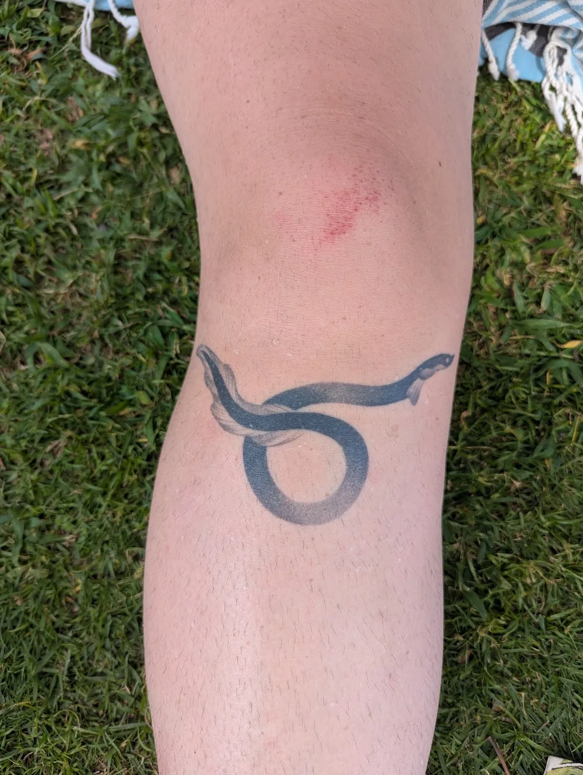 Tattoo by Little Planet Tattoo at Little Planet Tattoo