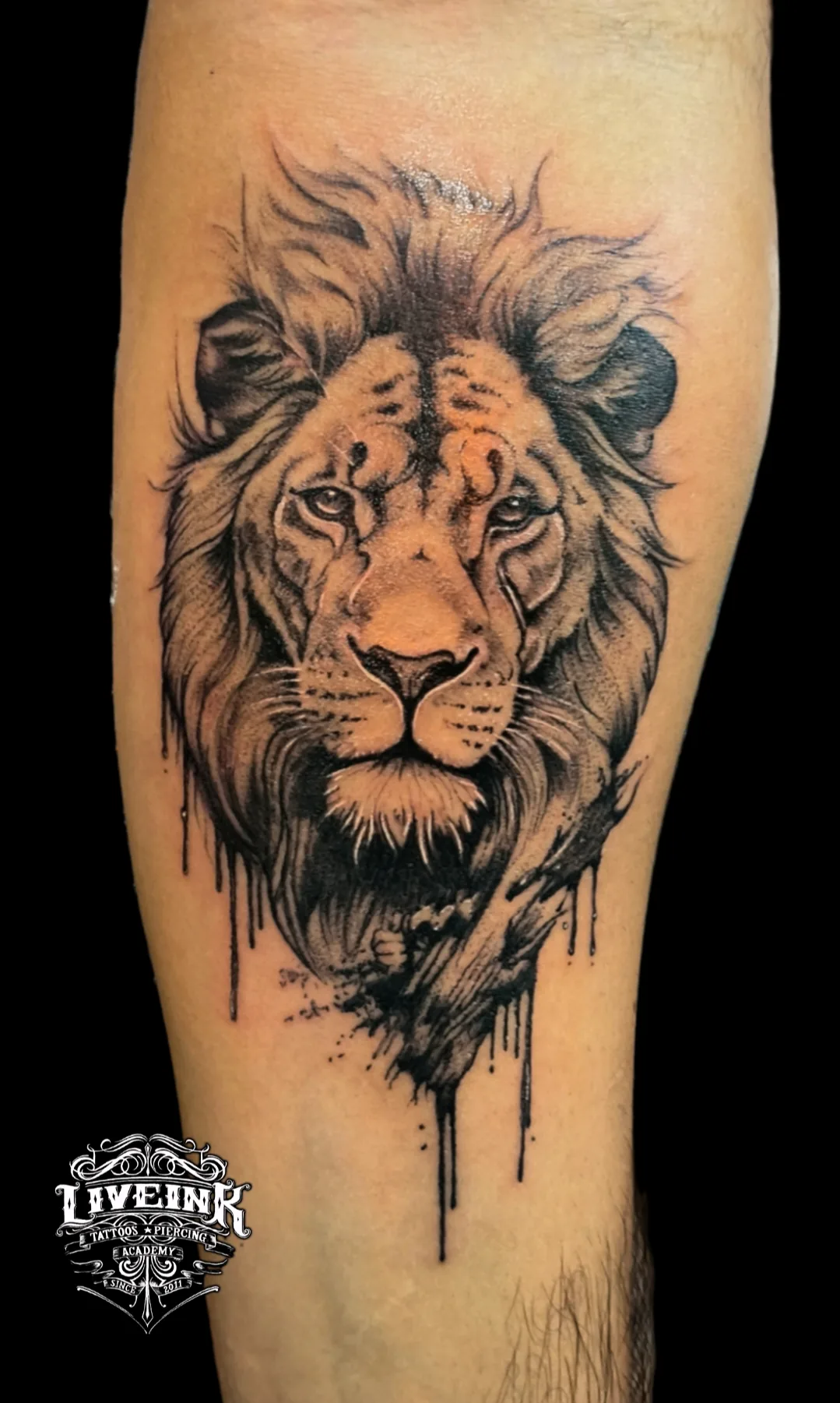 Tattoo by Live Ink Tattoos at Live Ink Tattoos