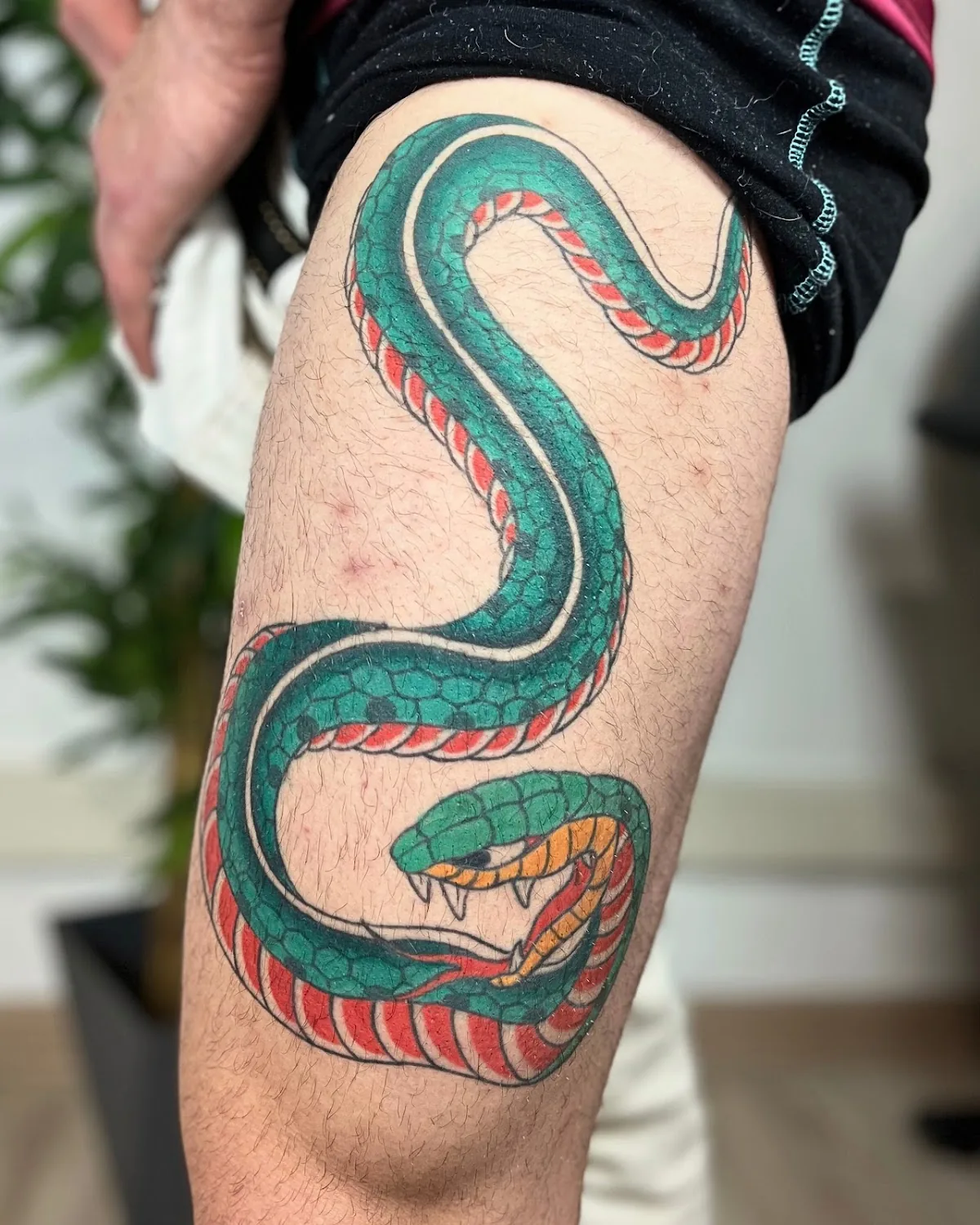 Tattoo by Lucenti tattoo at Lucenti tattoo