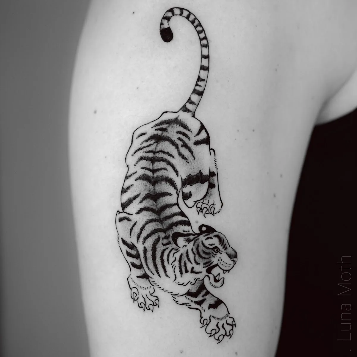 Tattoo by Luna Moth Tattoo Studio at Luna Moth Tattoo Studio