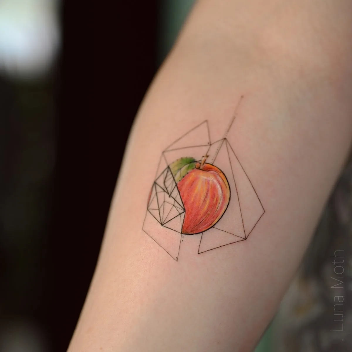 Tattoo by Luna Moth Tattoo Studio at Luna Moth Tattoo Studio