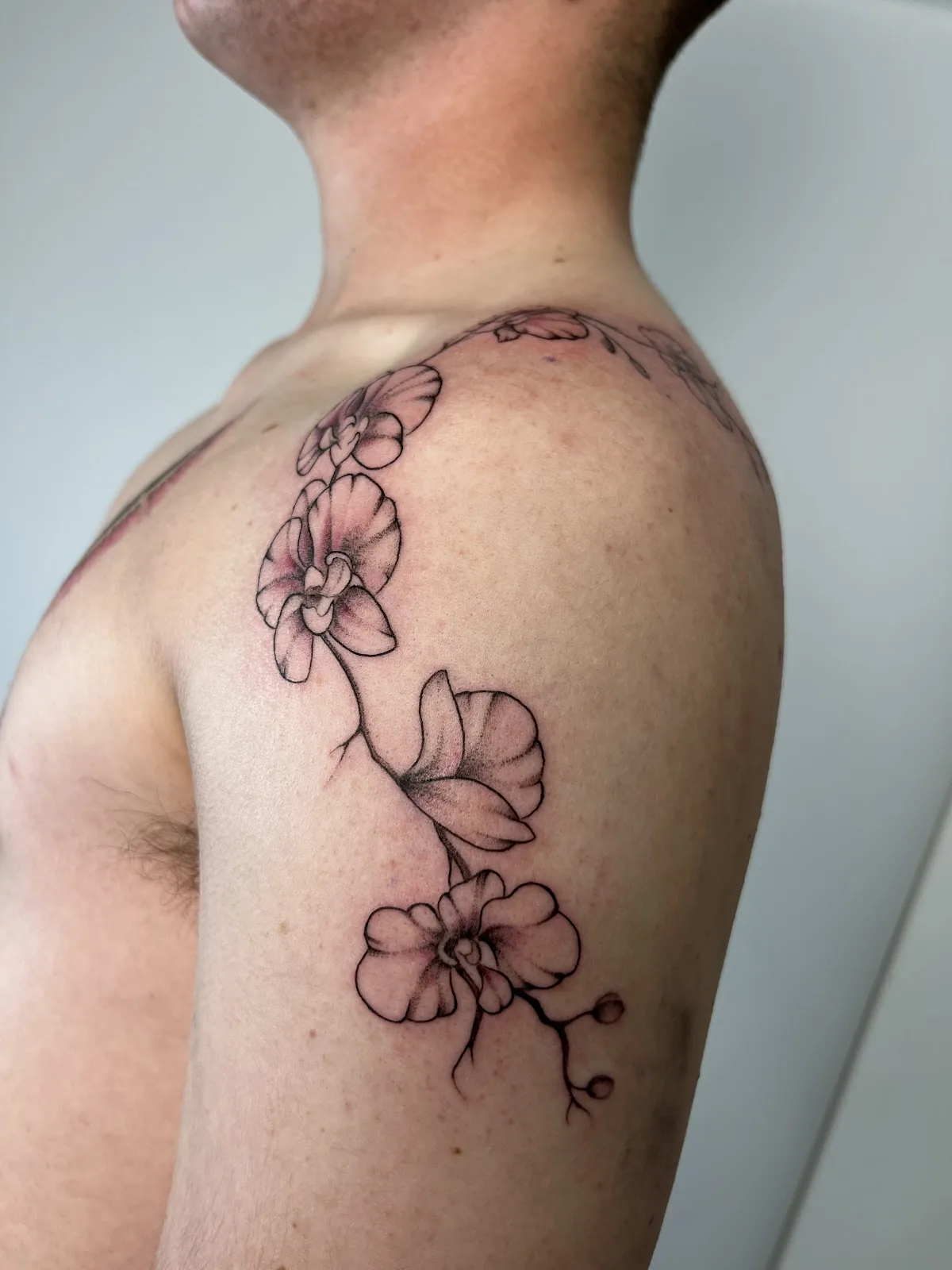Tattoo by Mantle Tattoo at Mantle Tattoo