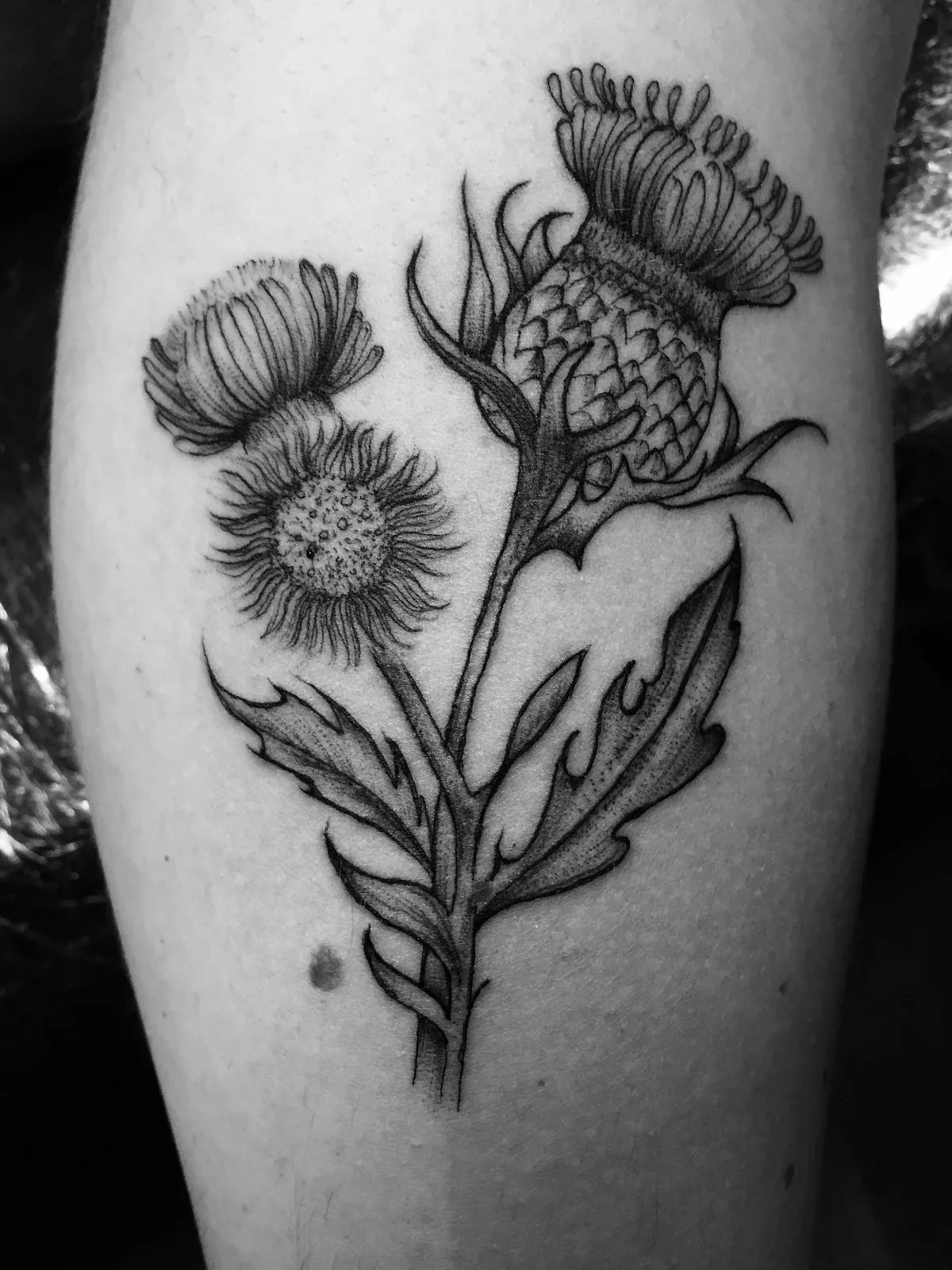 Tattoo by Mantra Tattoos at Mantra Tattoos