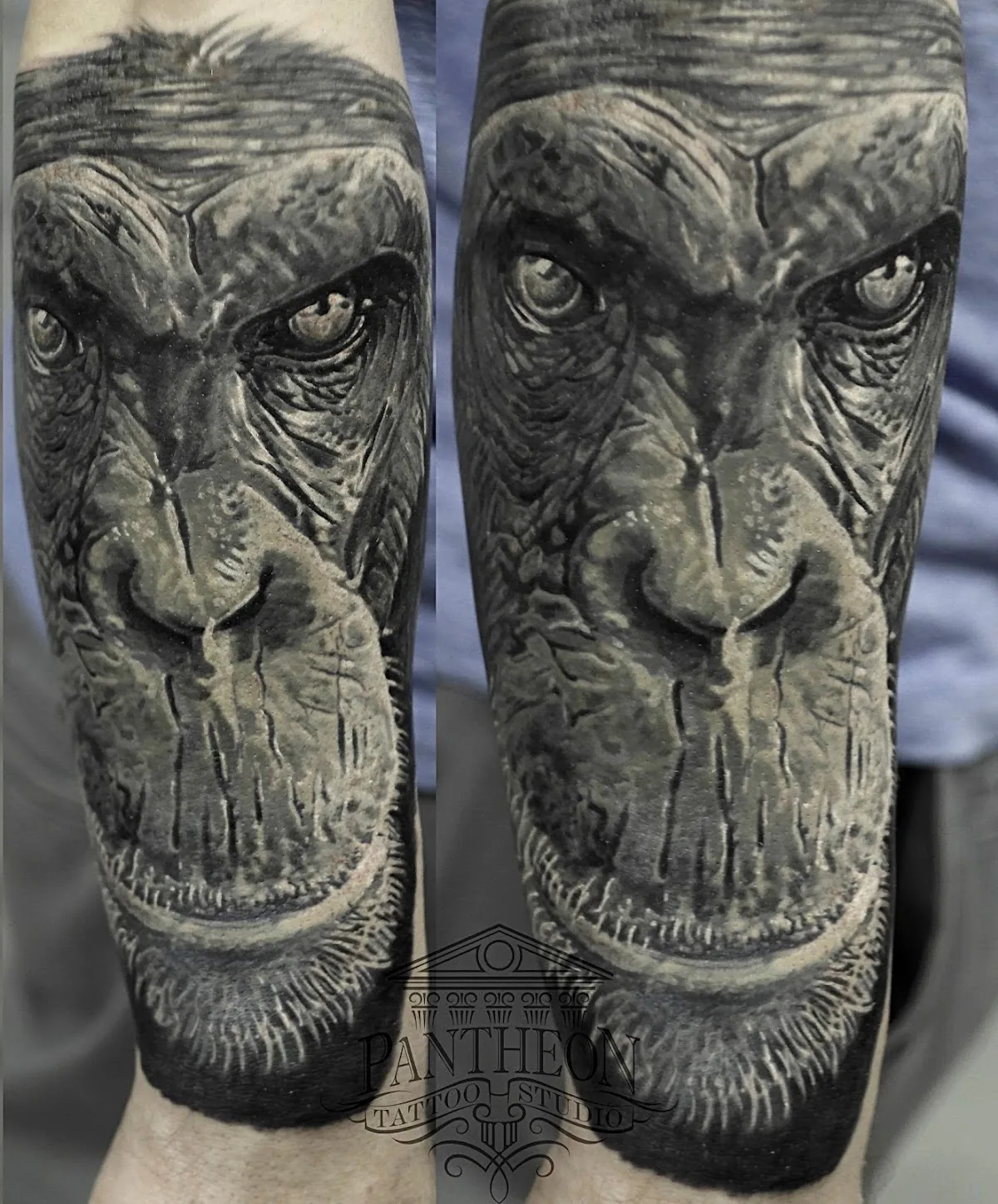 Tattoo by Pantheon, студия татуировки at Pantheon, студия татуировки
