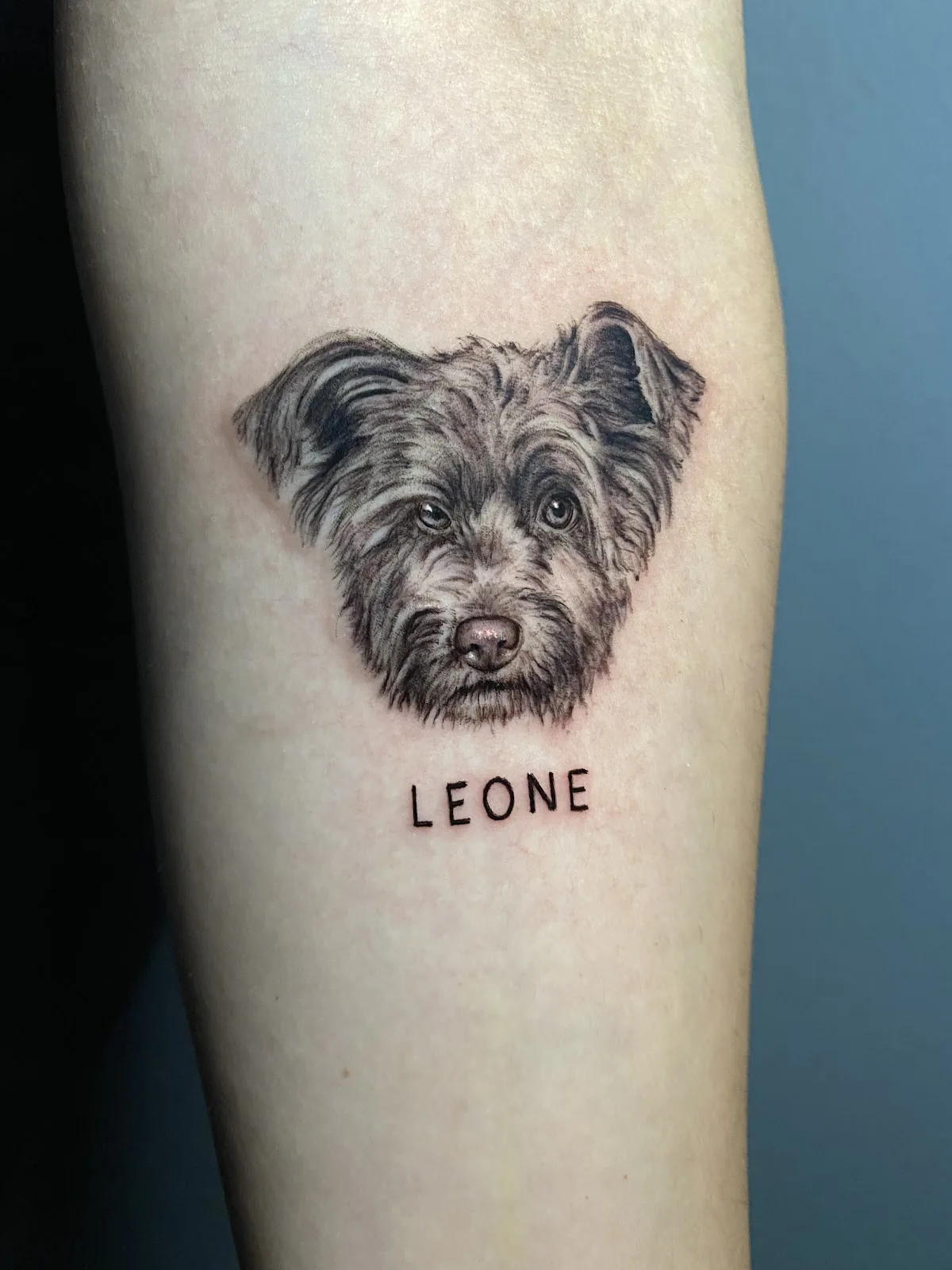 Tattoo by Patty's Tattoo Studio at Patty's Tattoo Studio
