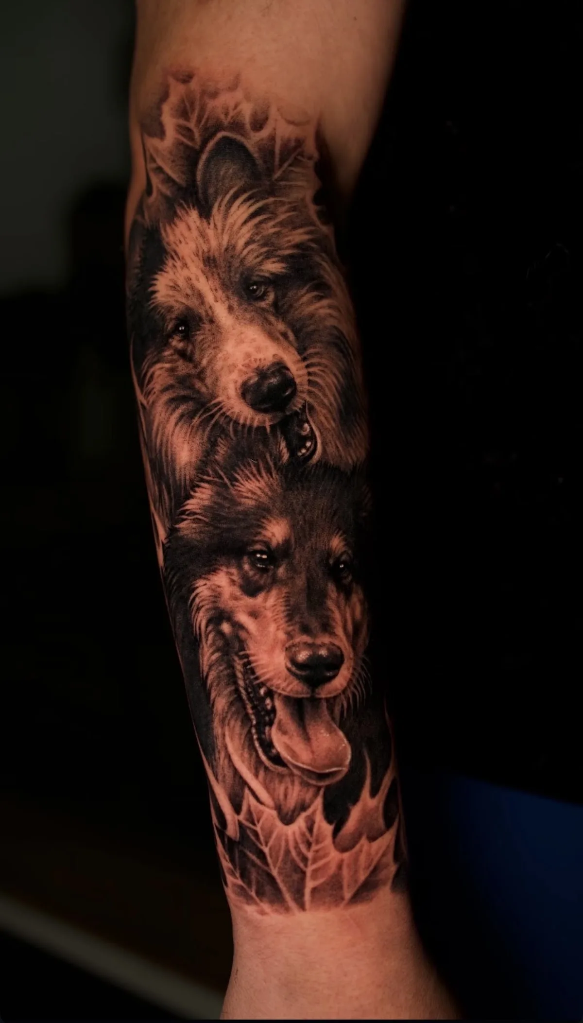 Tattoo by Platinum Ink Tattoo Studio at Platinum Ink Tattoo Studio