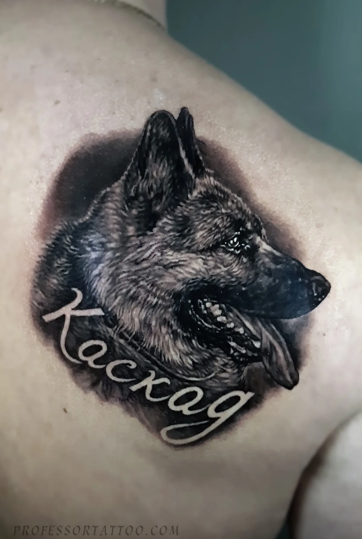 Tattoo by Professortattoo, тату-студия at Professortattoo, тату-студия