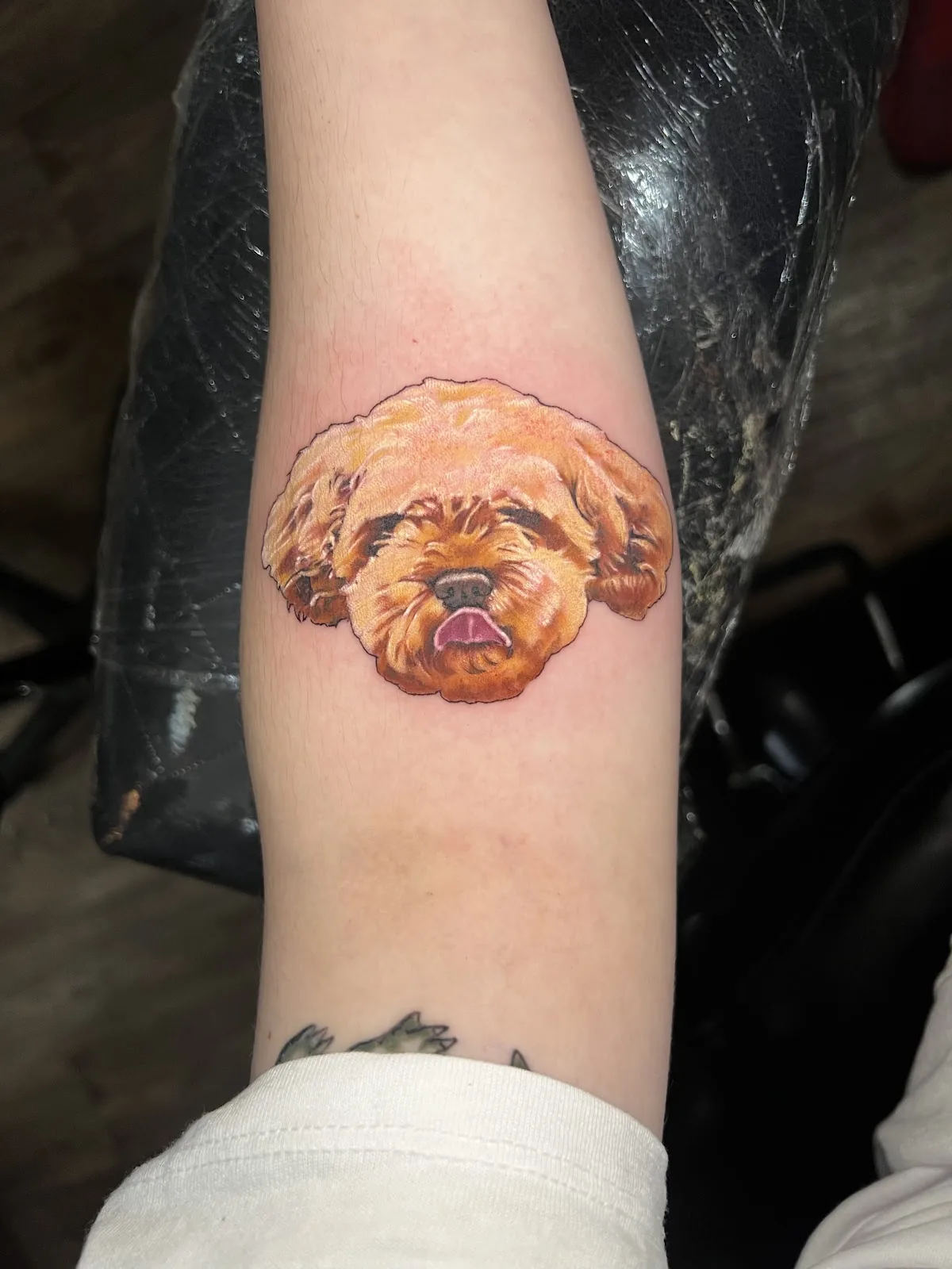 Tattoo by Red rabbit tattoo studio at Red rabbit tattoo studio