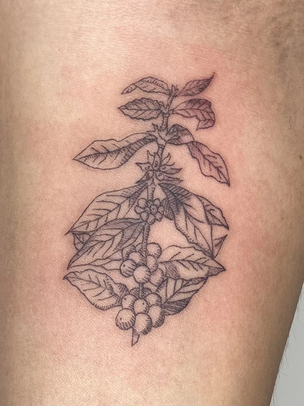 Tattoo by RicRoks Tattoos at RicRoks Tattoos