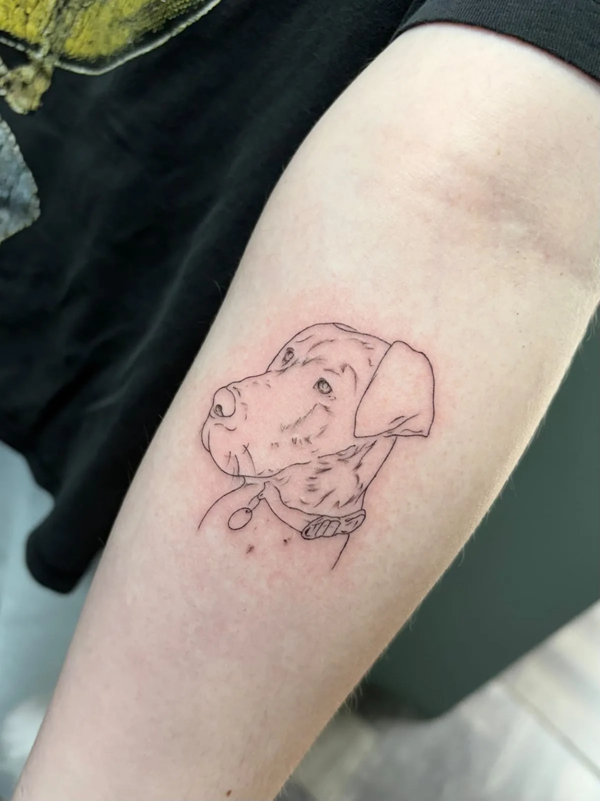 Tattoo by Sally Mustang Tattoos at Sally Mustang Tattoos