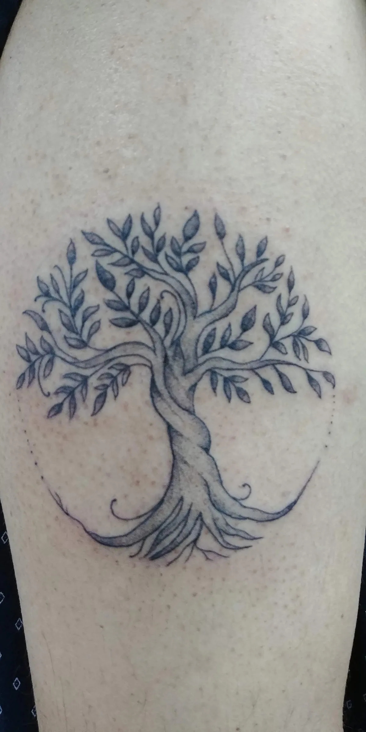 Tattoo by Ship Wreck Tattoos at Ship Wreck Tattoos