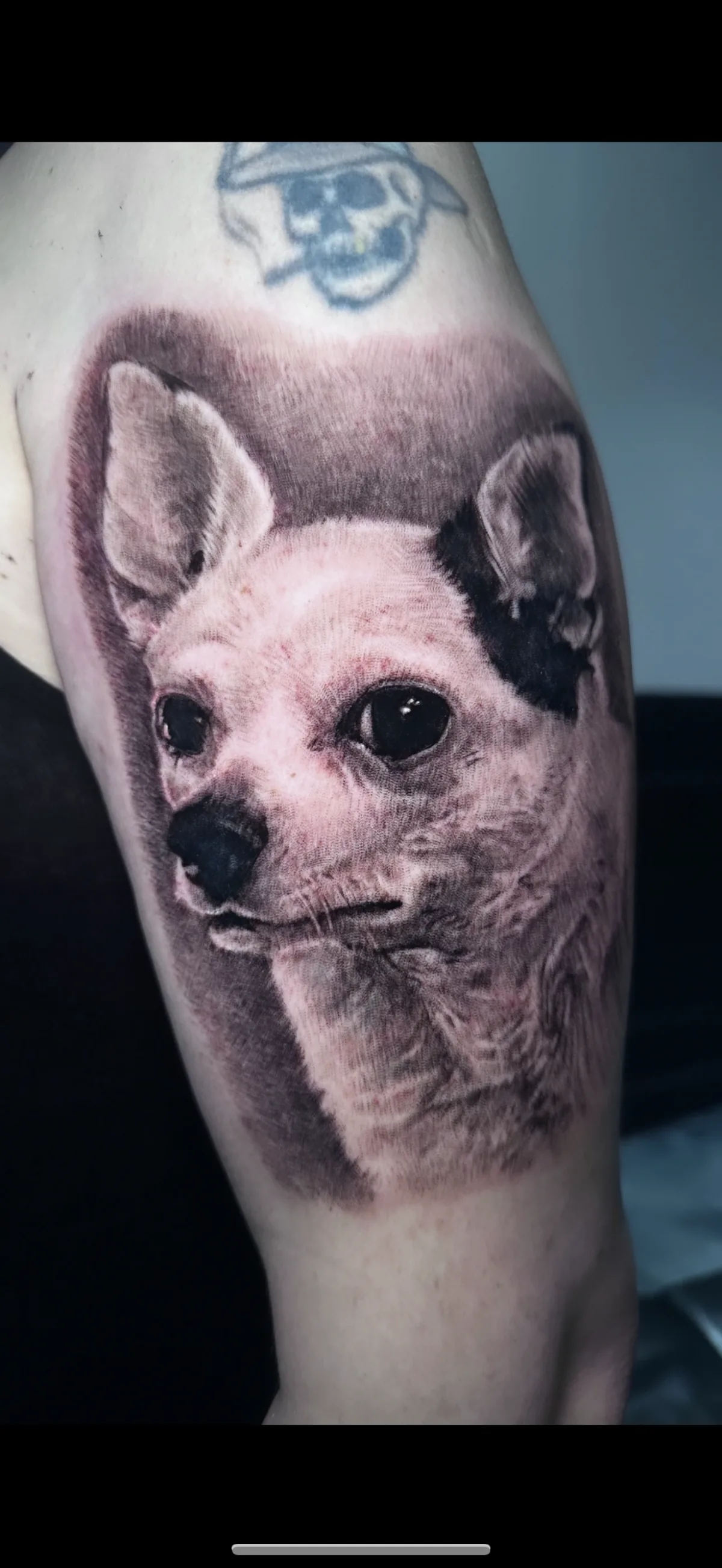 Tattoo by Silver Bones Tattoo - Tattoo Shop Vancouver at Silver Bones Tattoo - Tattoo Shop Vancouver