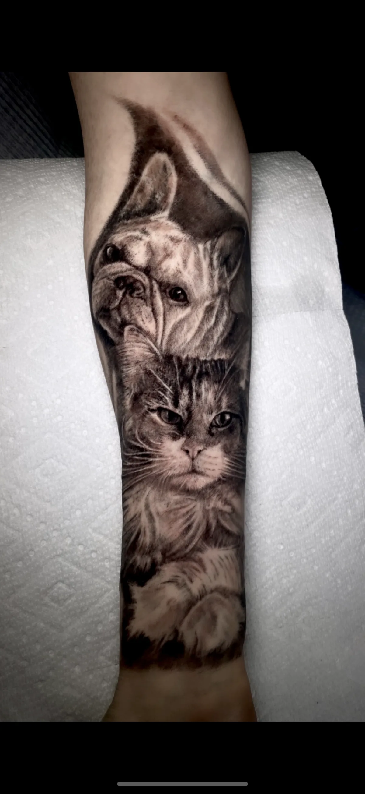Tattoo by Silver Bones Tattoo - Tattoo Shop Vancouver at Silver Bones Tattoo - Tattoo Shop Vancouver