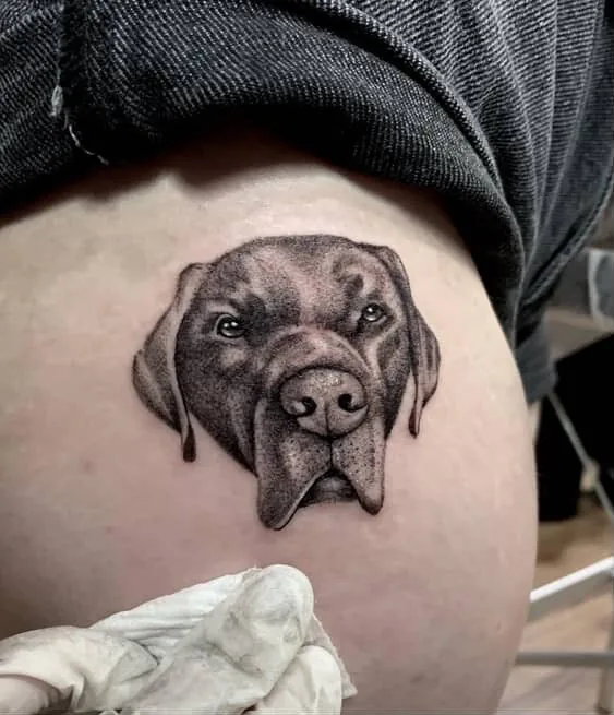 Tattoo by Stanley Street Tattoo at Stanley Street Tattoo