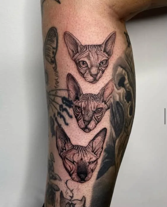 Tattoo by Stanley Street Tattoo at Stanley Street Tattoo