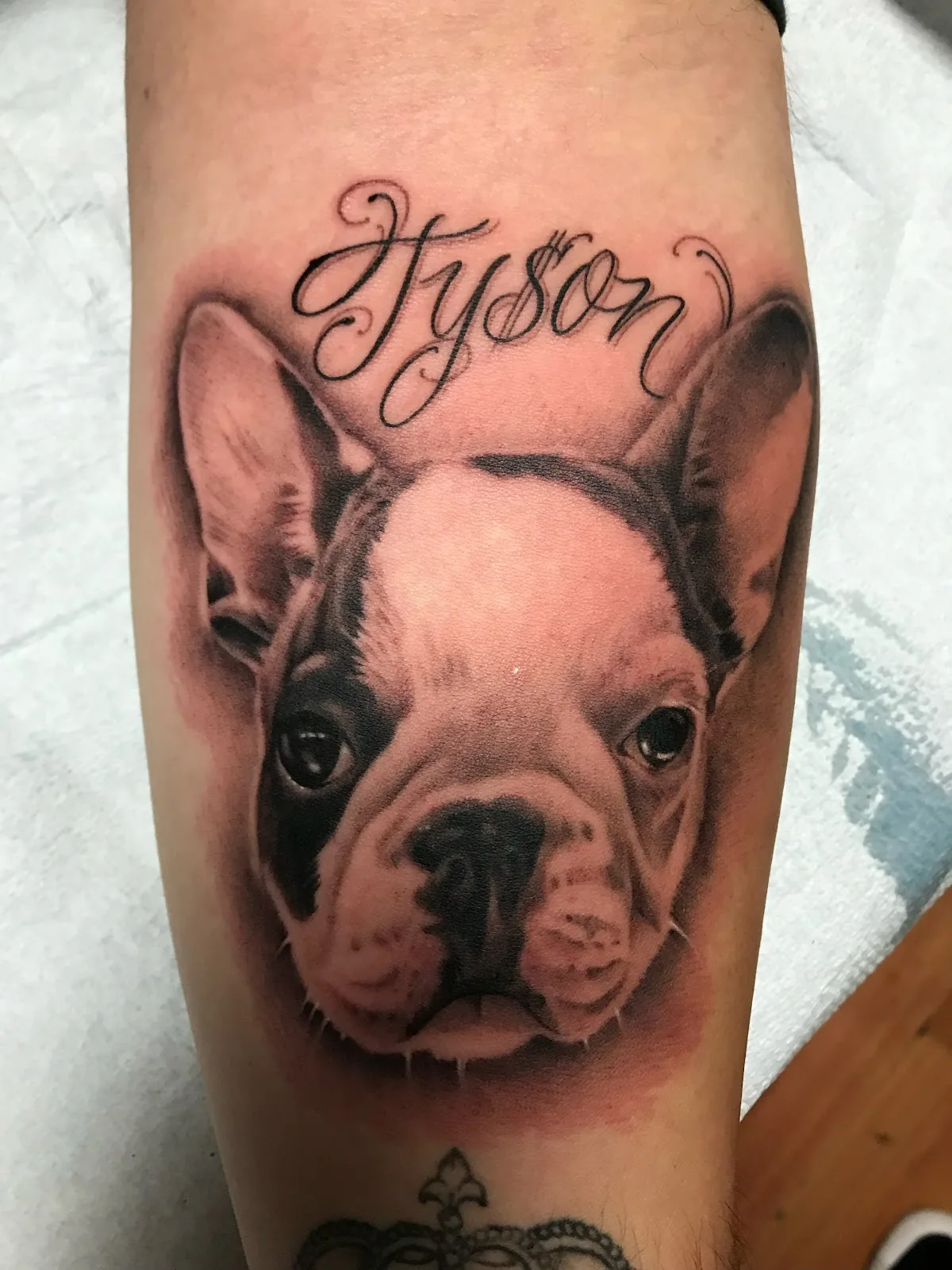 Tattoo by Street Dreams Tattoo Studio at Street Dreams Tattoo Studio