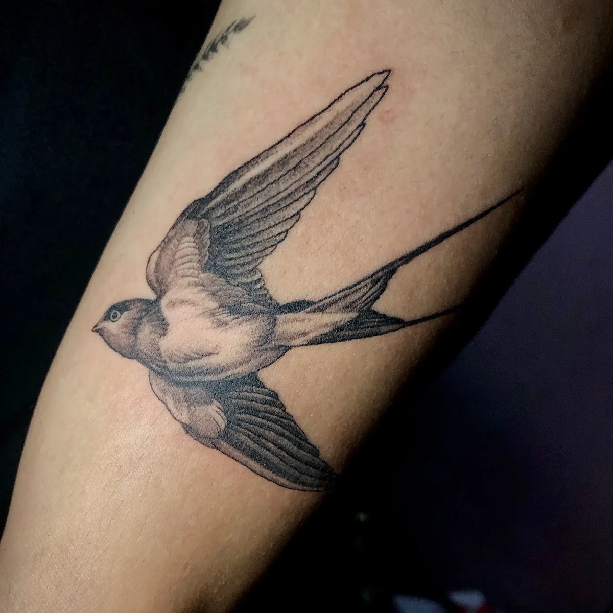 Tattoo by STUDIO TATO SKINBLOODS TATTOO & PIERCING at STUDIO TATO SKINBLOODS TATTOO & PIERCING