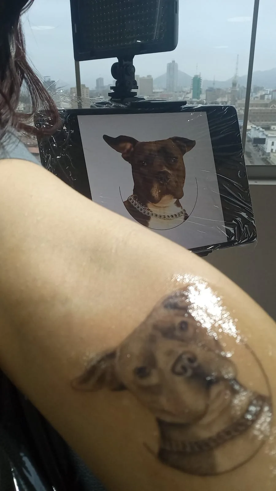 Tattoo by Supreme Ink Tattoo at Supreme Ink Tattoo