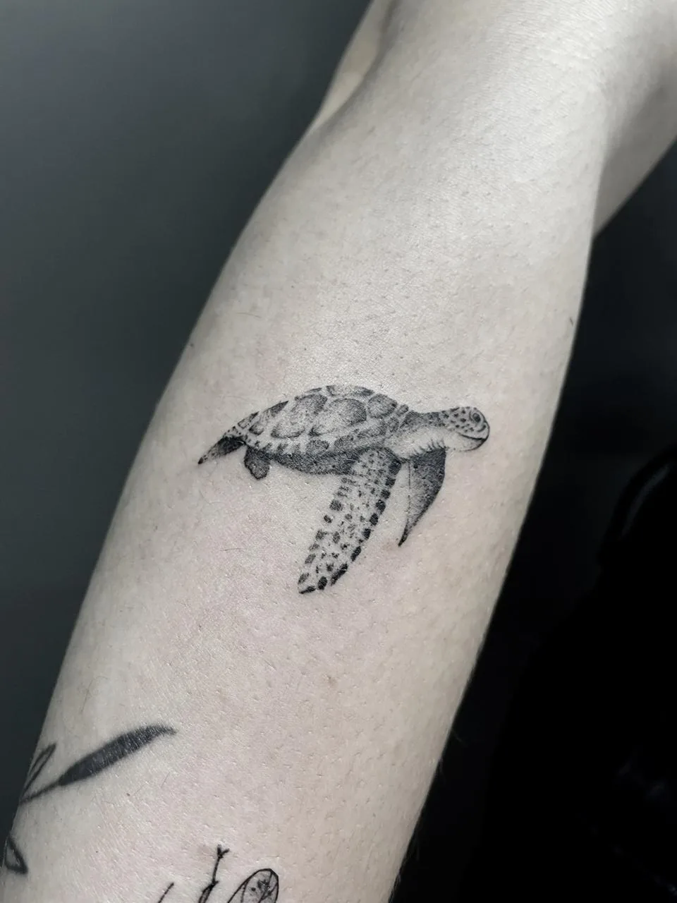 Tattoo by Surplus Tattoo Studio at Surplus Tattoo Studio