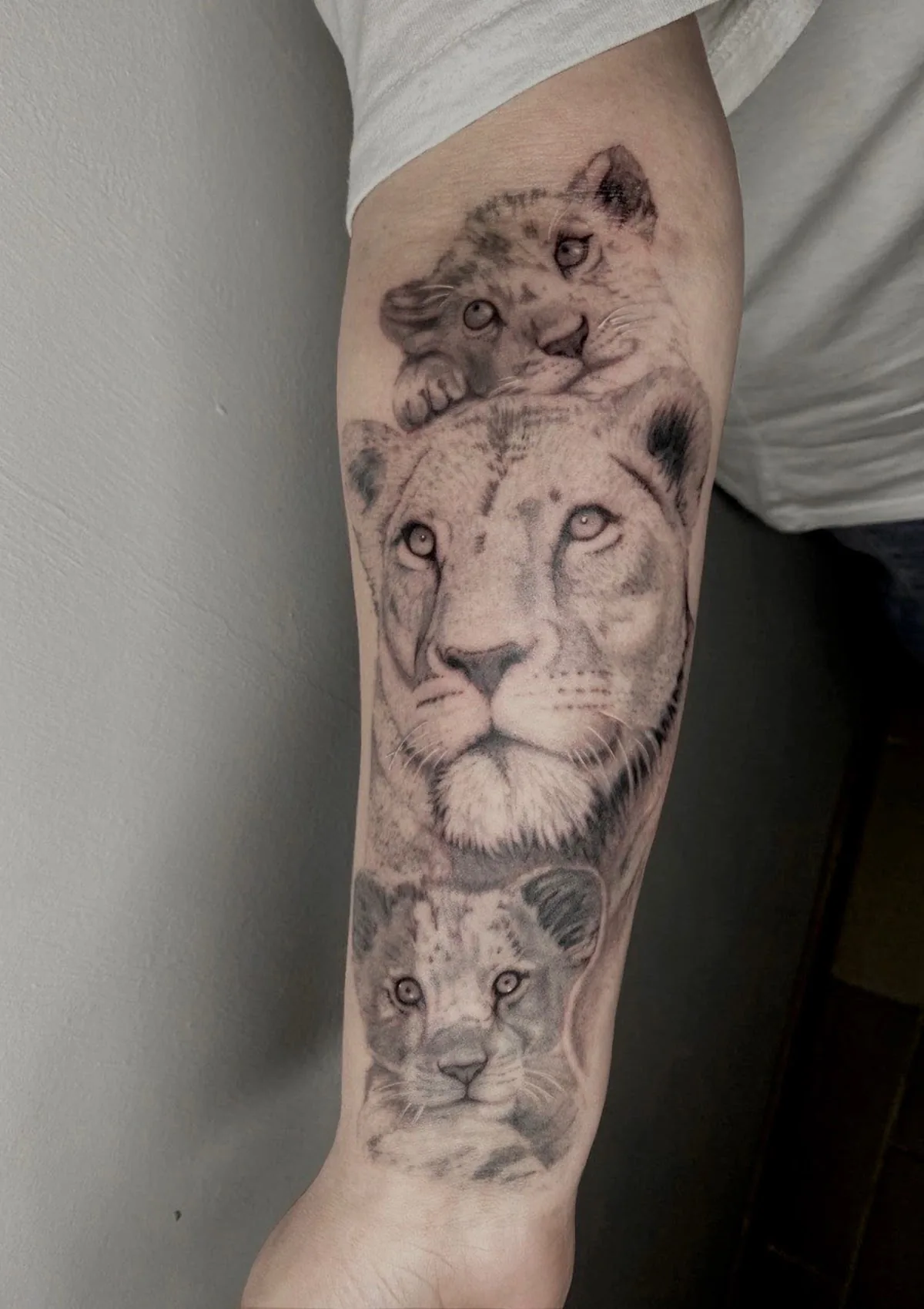 Tattoo by Syndicate, тату-студия at Syndicate, тату-студия