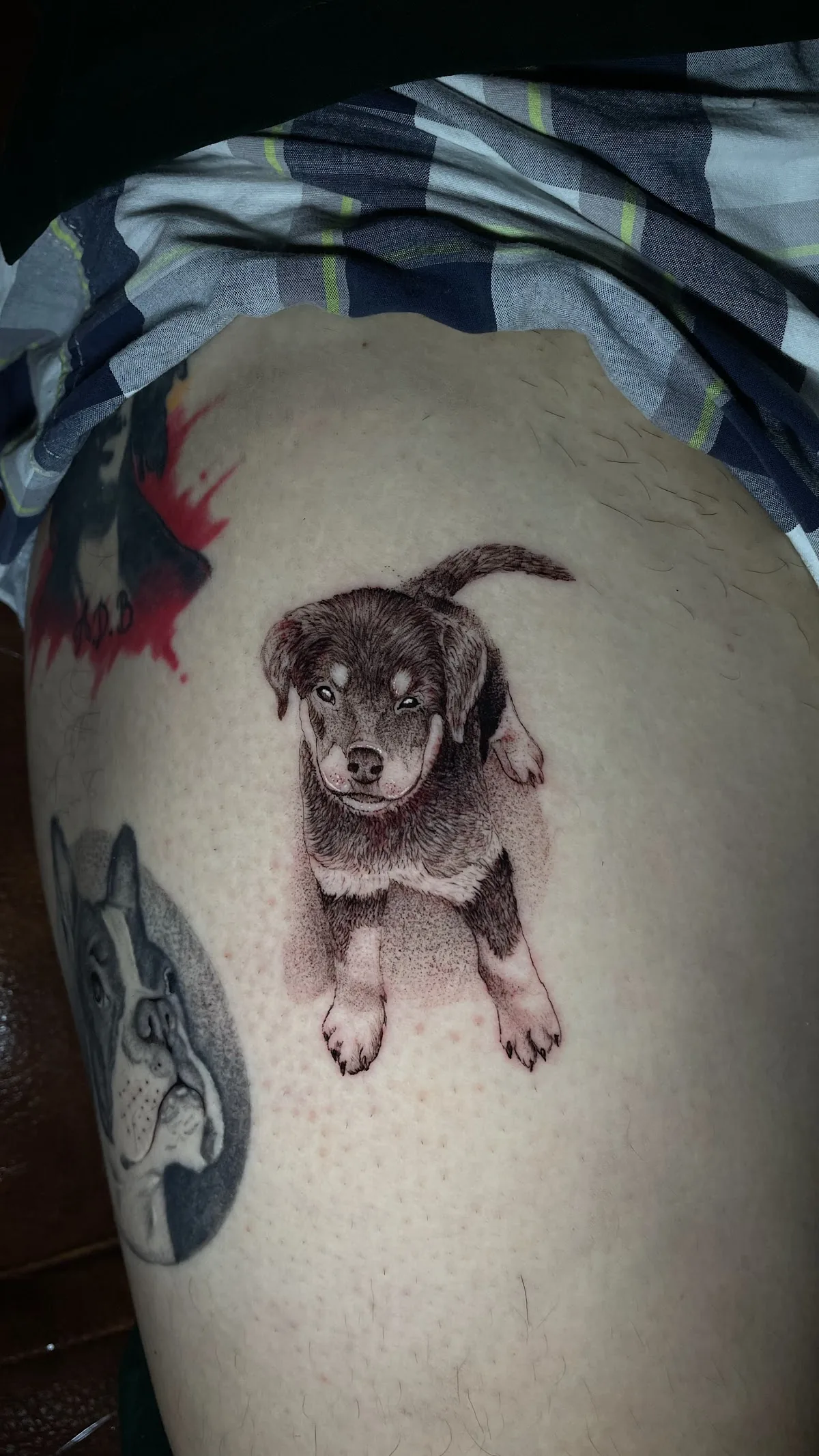 Tattoo by Tanaka Tattoo at Tanaka Tattoo