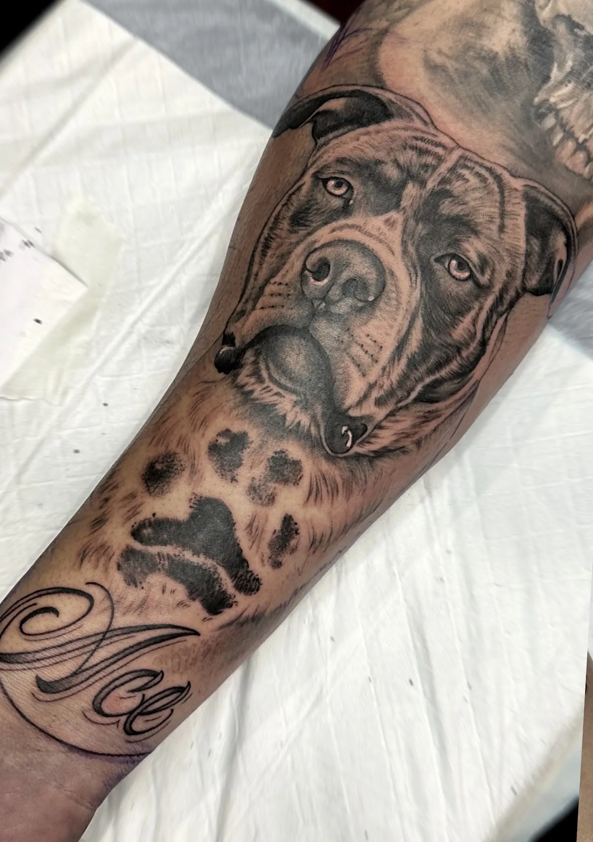 Tattoo by Tattoo kingdom at Tattoo kingdom