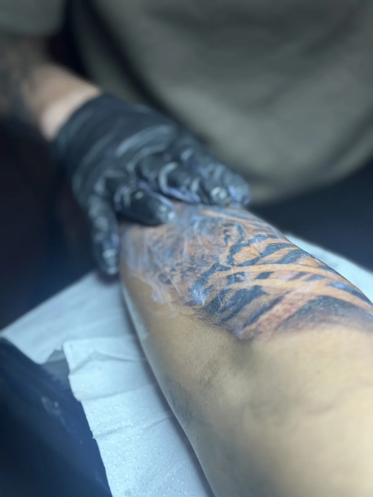 Tattoo by Tattoo Shop - Tattoo Supply Insumos para tatuadores Chile at Tattoo Shop - Tattoo Supply Insumos para tatuadores Chile
