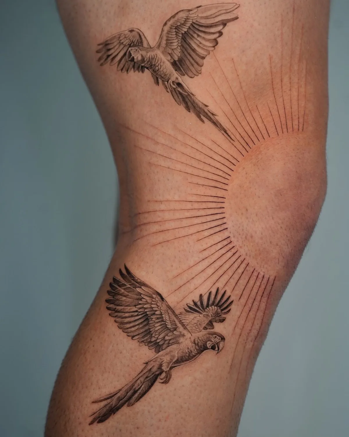 Tattoo by Tattoology Lounge at Tattoology Lounge