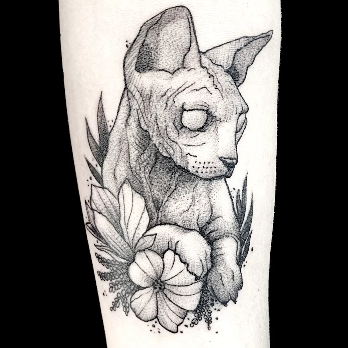 Tattoo by Терра Скифика, студия татуировок at Терра Скифика, студия татуировок