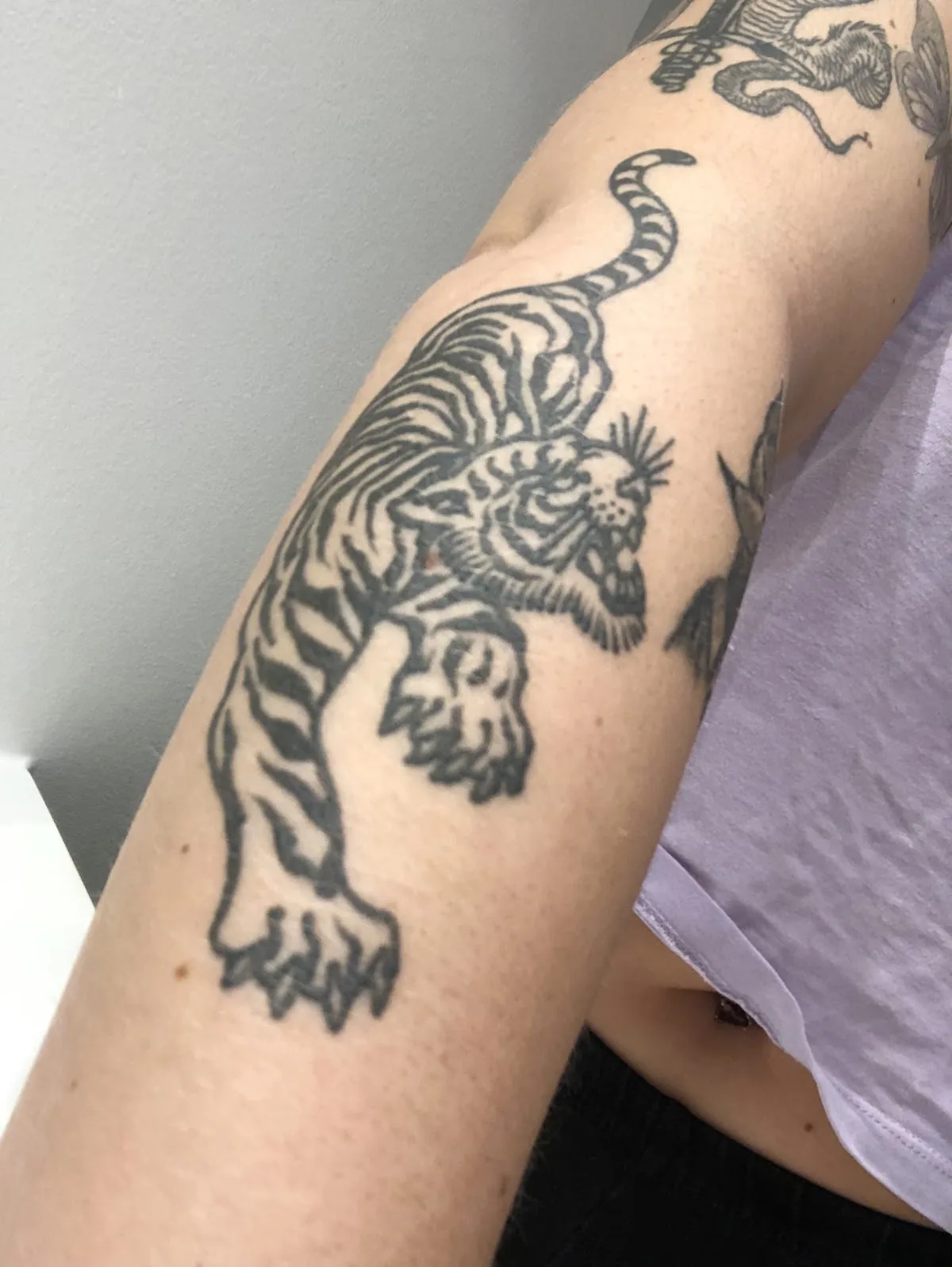 Tattoo by Tigre Tattoo Parlour at Tigre Tattoo Parlour