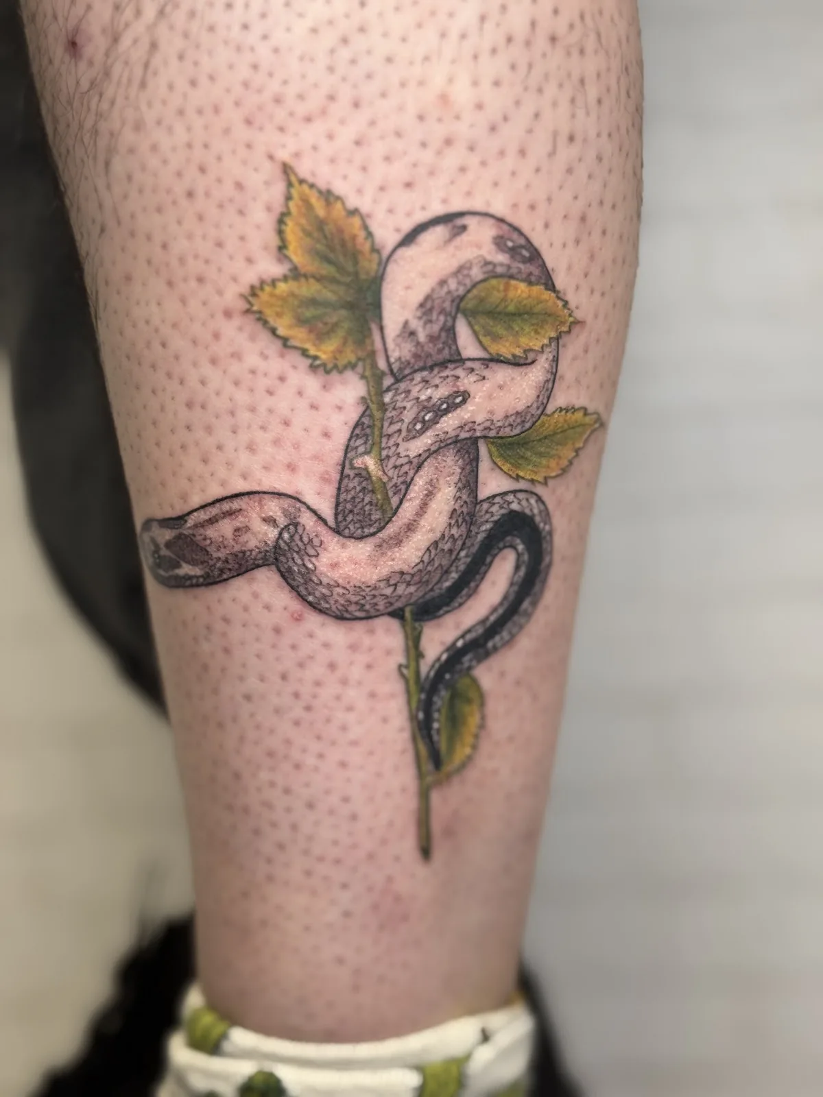 Tattoo by Tribe Tattoo at Tribe Tattoo