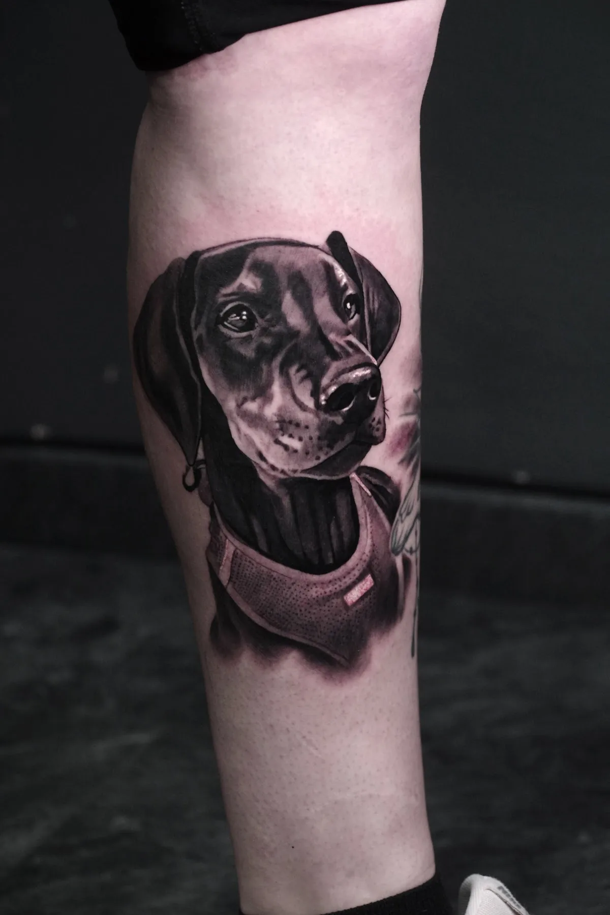 Tattoo by Try Hard Tattoo at Try Hard Tattoo