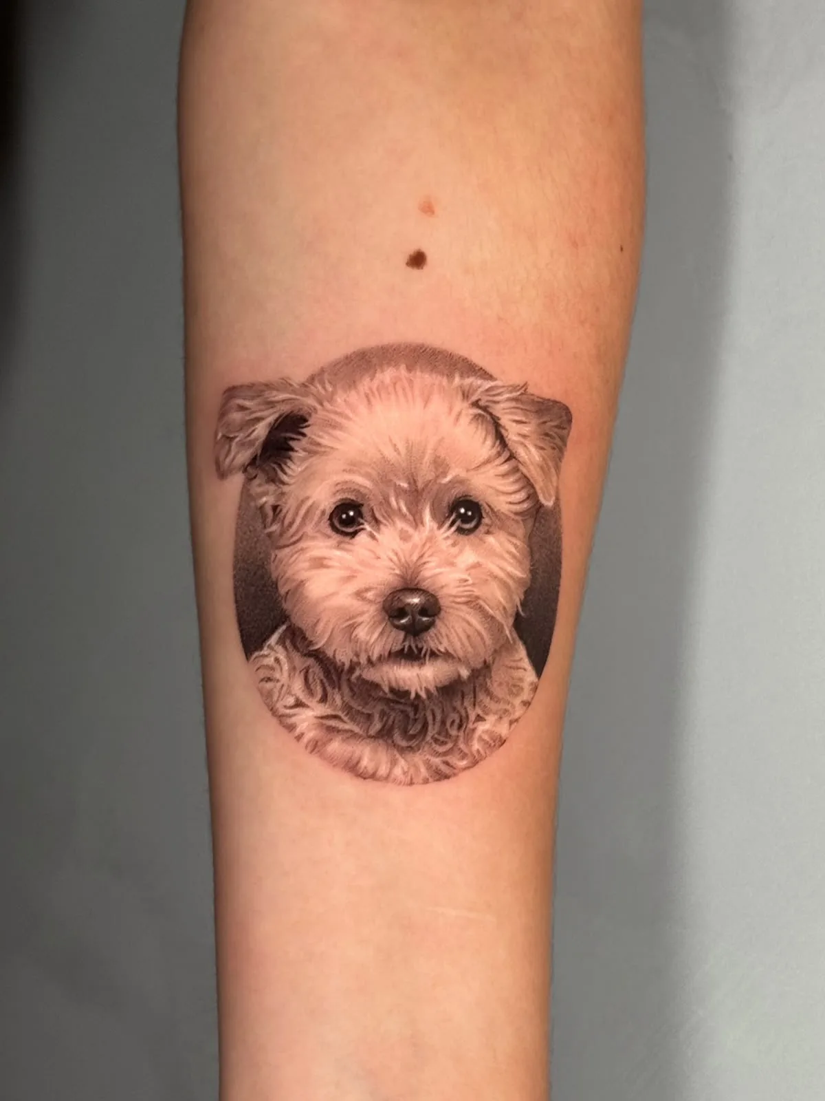 Tattoo by WHY NOT GALLERY | TATTOO at WHY NOT GALLERY | TATTOO