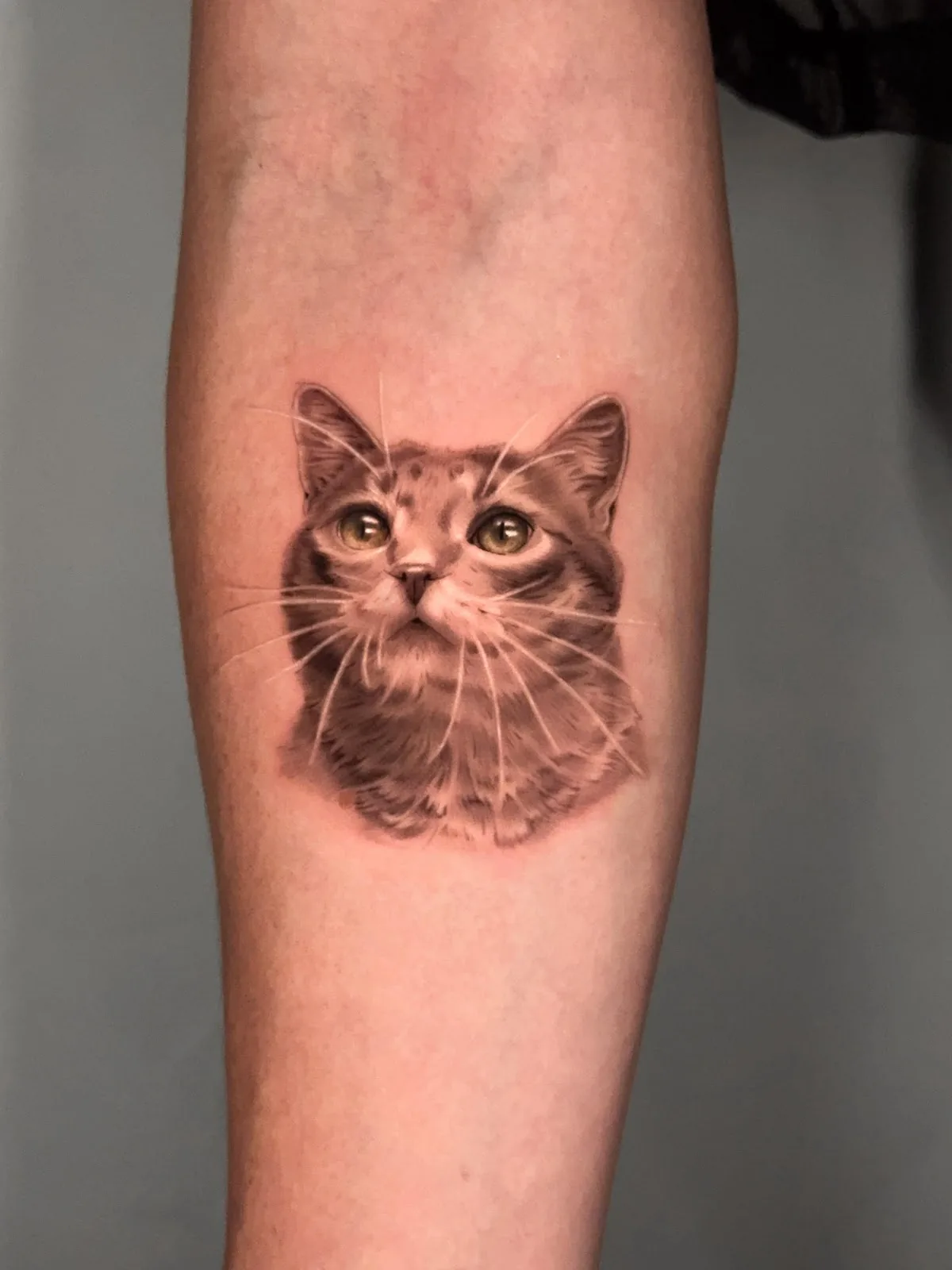 Tattoo by WHY NOT GALLERY | TATTOO at WHY NOT GALLERY | TATTOO