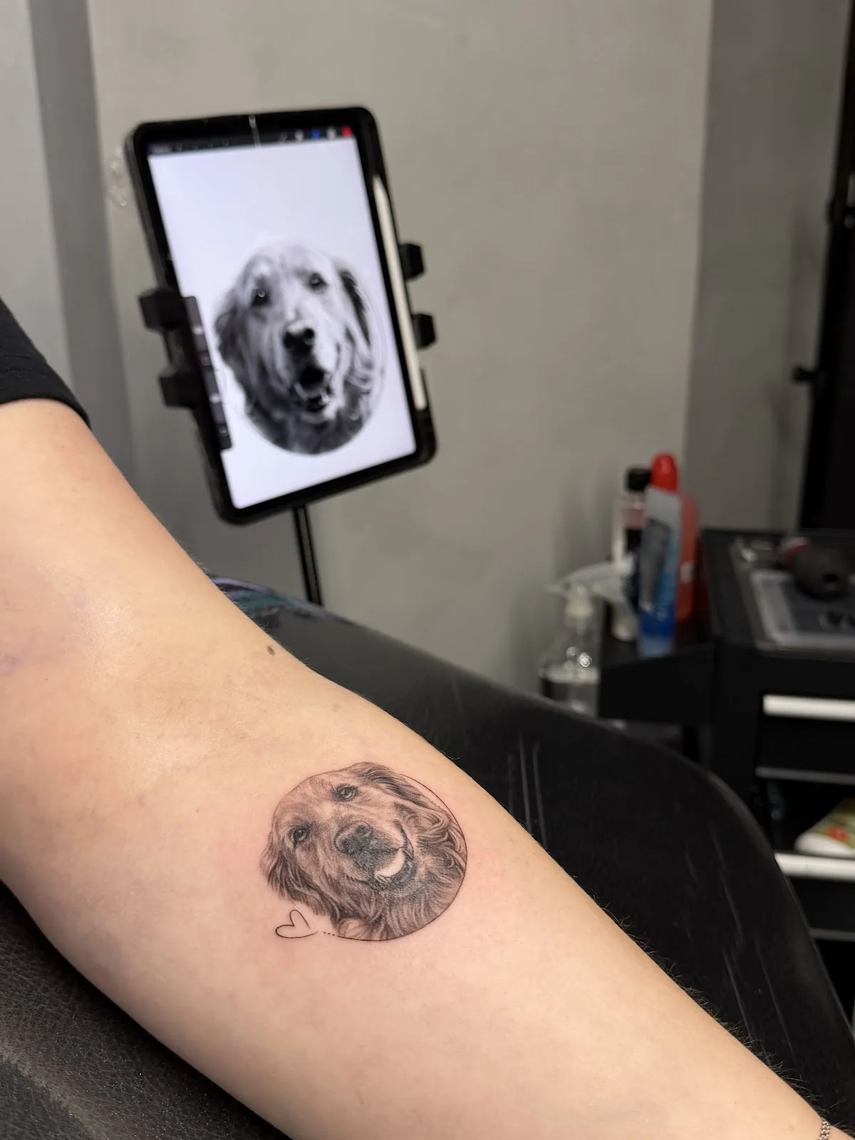 Tattoo by WHY NOT GALLERY | TATTOO at WHY NOT GALLERY | TATTOO