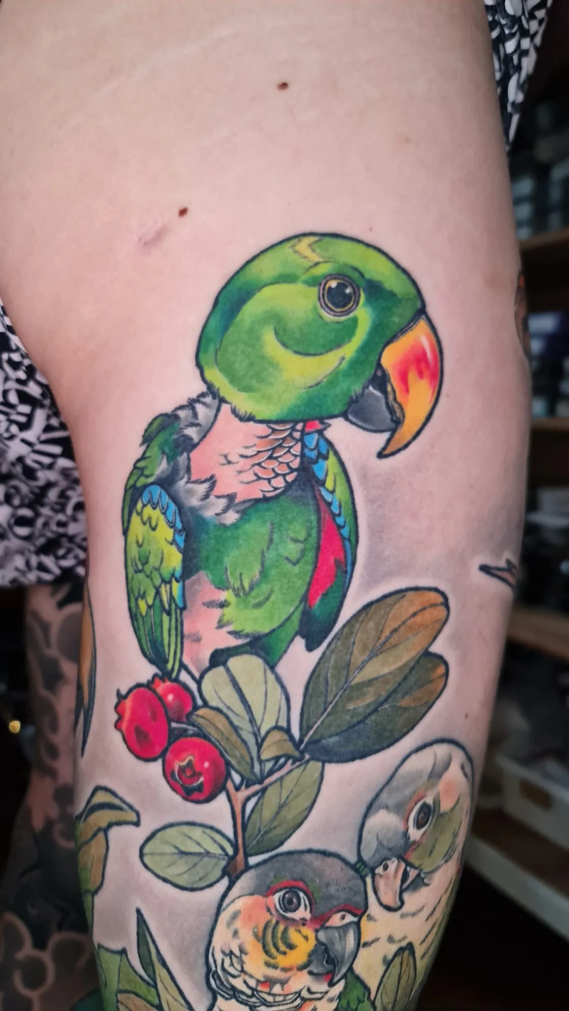 Tattoo by Wild Paw Tattoo Co. at Wild Paw Tattoo Co.