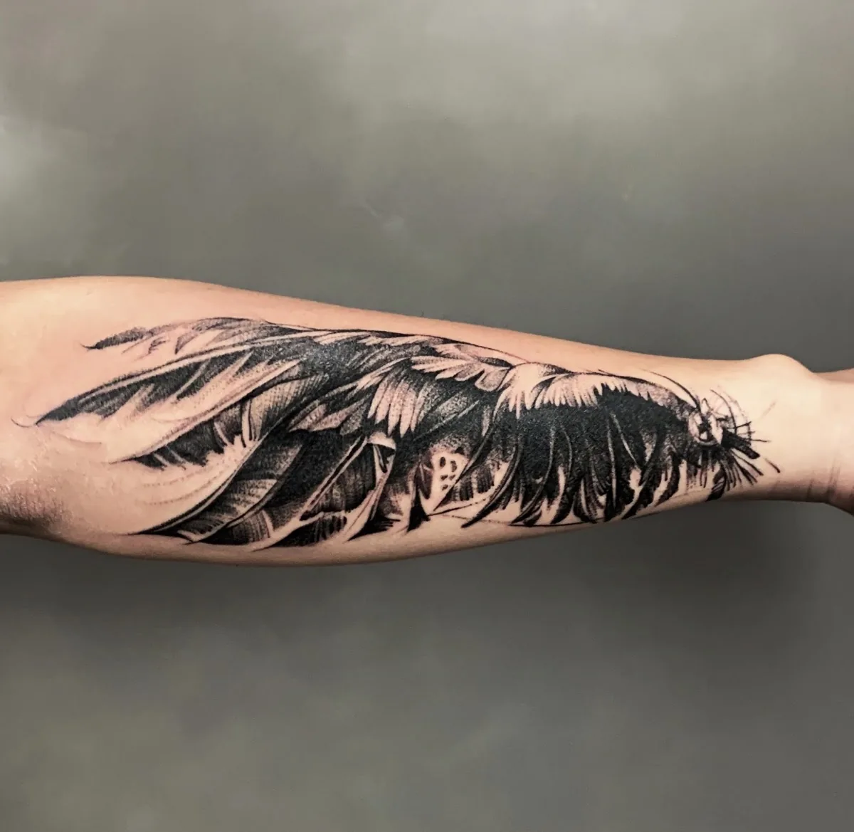 Tattoo by Zoo Tattoo & Body Piercing at Zoo Tattoo & Body Piercing