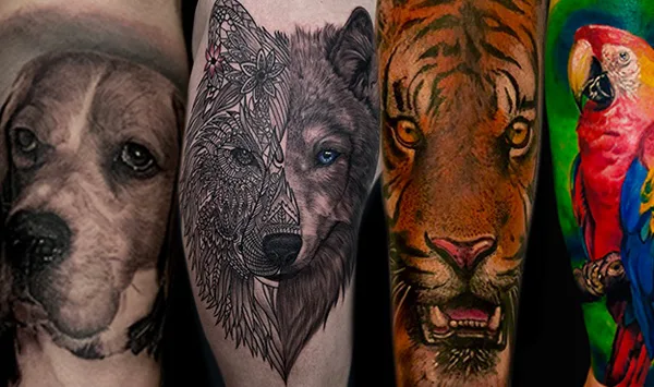 Harmony Colours Tattoo Studio