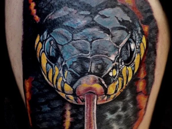 Jungle Ink Tattoo