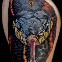 Jungle Ink Tattoo