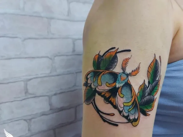Kolibrri Tattoo, студия татуировки