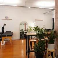 Lined Canvas-Tattoo Studio