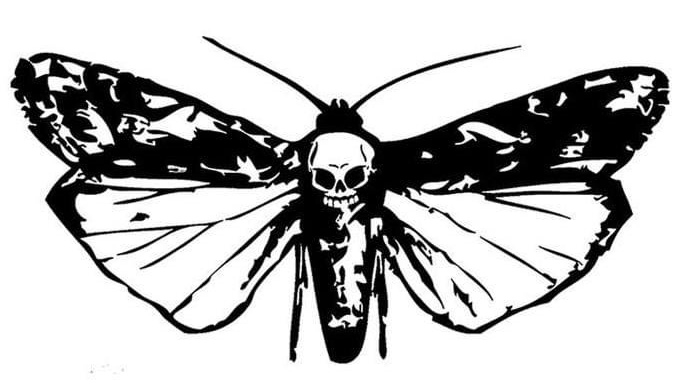 Lonis Tattoo Studio