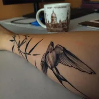 Marengo, тату-салон
