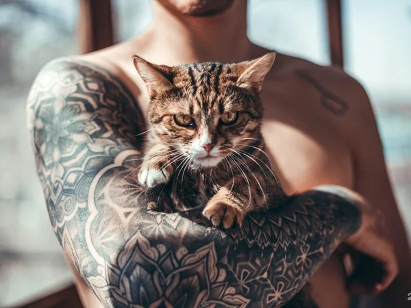 Molly tattoo, студия осознанных татуировок
