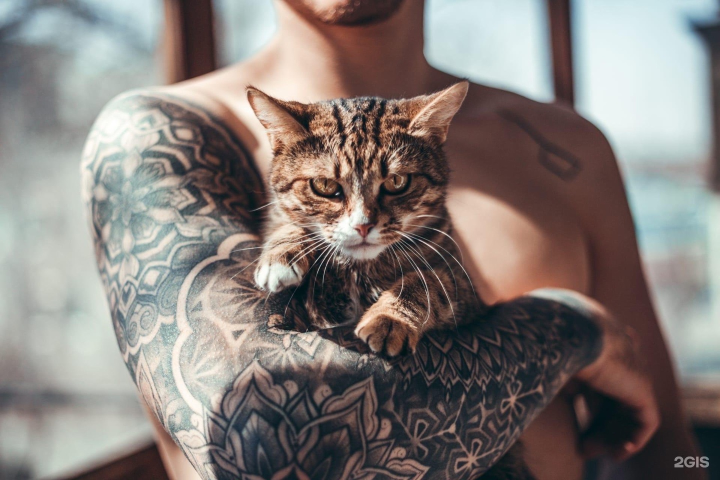 Molly tattoo, студия осознанных татуировок